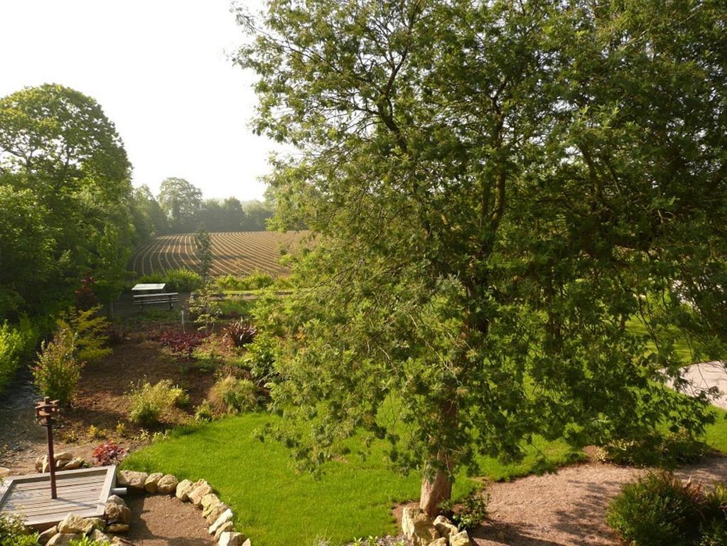 La Ferme Du Pere Hotel Kermorocʼh Buitenkant foto